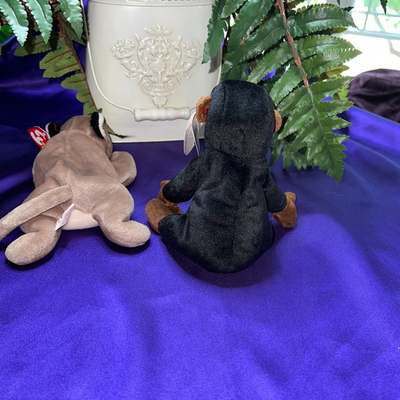 NWT & VTG📌 Ty Beanie Baby Canyon the Cougar 1998 & Congo the Gorilla 1996 - Picture 5 of 13